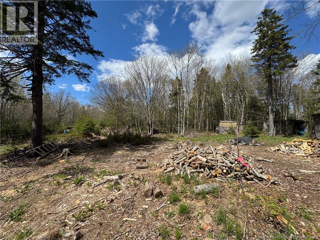 199 East Scotch Settlement Road, Springfield, New Brunswick  E5T 2M3 - Photo 8 - NB139671