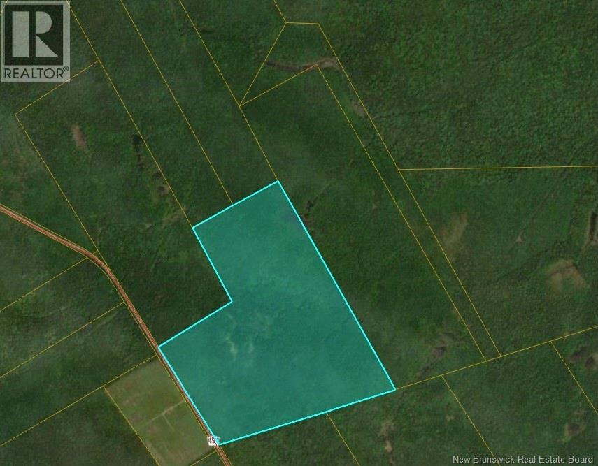 Lots Mclaughlin Road, Pine Ridge, New Brunswick  E4W 3S6 - Photo 7 - NB139761