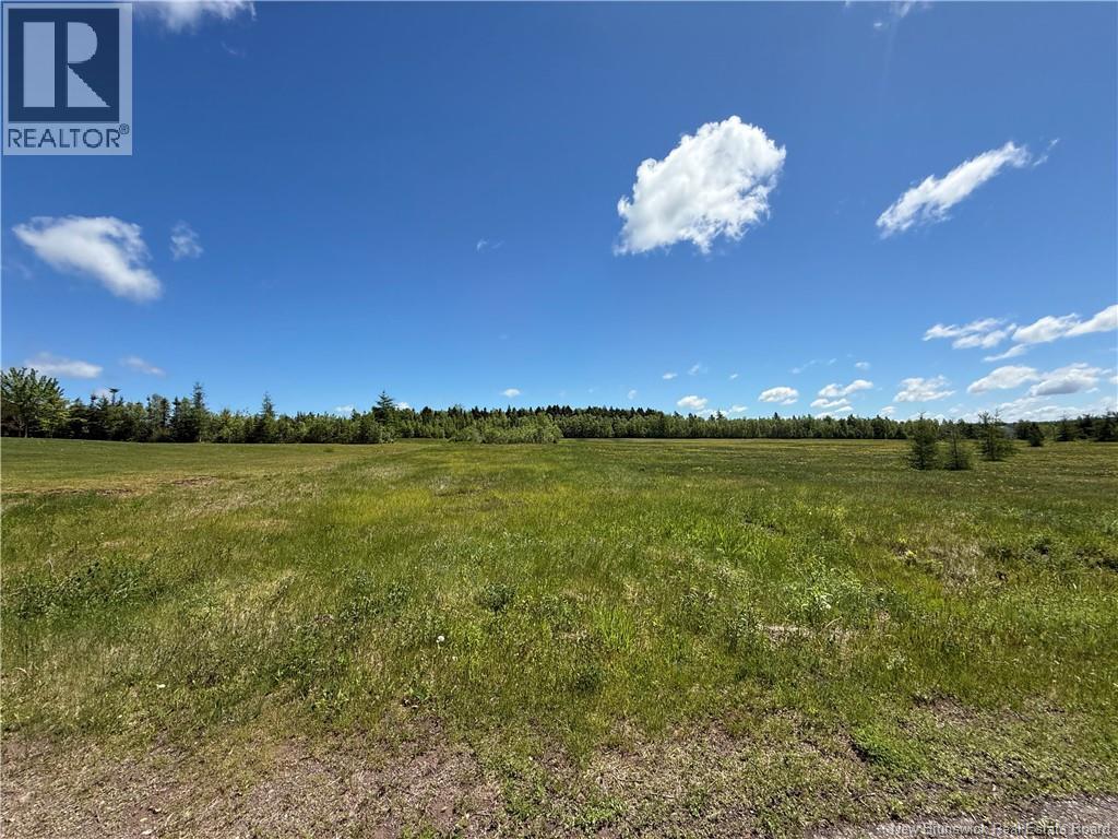 Lot 07-7 Windy Hill, Indian Mountain, New Brunswick E1G 3B1 - Photo 3 - NB139841