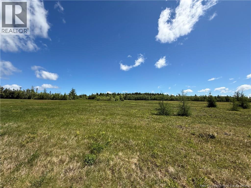 Lot 07-7 Windy Hill, Indian Mountain, New Brunswick E1G 3B1 - Photo 4 - NB139841