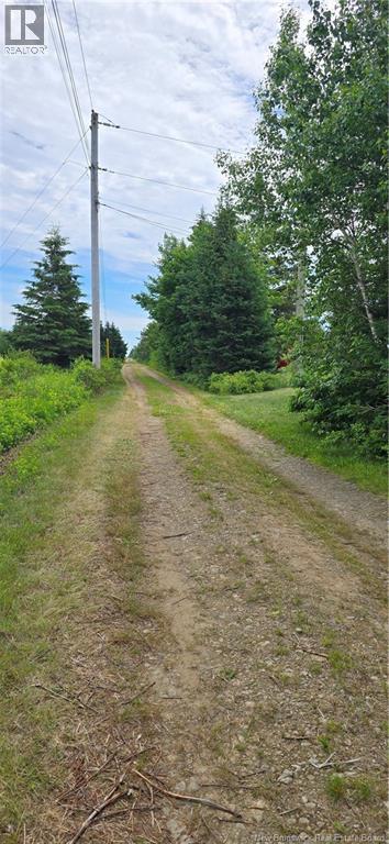 229 Du Parc, Val-Comeau, New Brunswick  E1X 4B6 - Photo 22 - NB139786