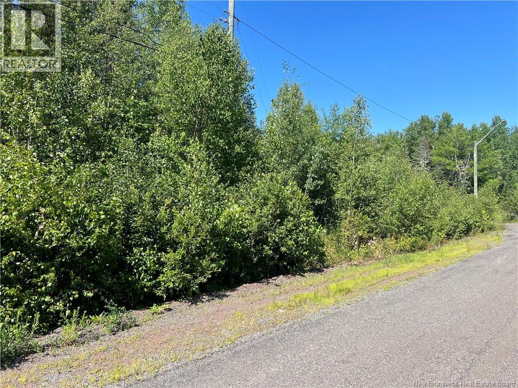 36 Lucas Street, Irishtown, New Brunswick  E1H 0E4 - Photo 10 - NB140079