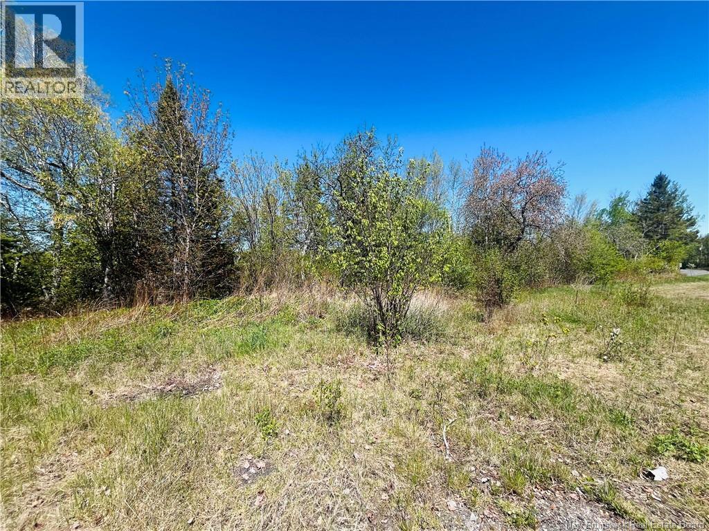 2720 Hwy 420, Matthews Settlement, New Brunswick  E9E 1V1 - Photo 3 - NB140097