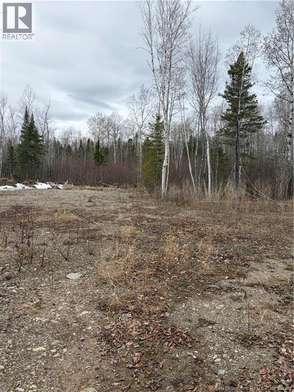 16 Sormany, Sormany, New Brunswick  E8K 3W9 - Photo 11 - NB140132