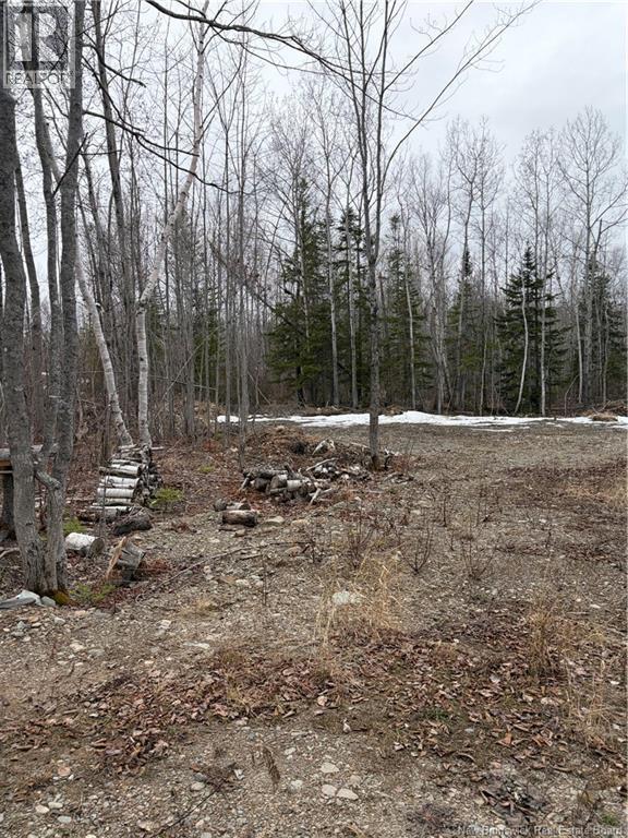 16 Sormany, Sormany, New Brunswick  E8K 3W9 - Photo 12 - NB140132