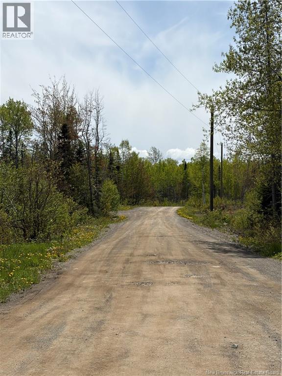 16 Sormany, Sormany, New Brunswick  E8K 3W9 - Photo 15 - NB140132