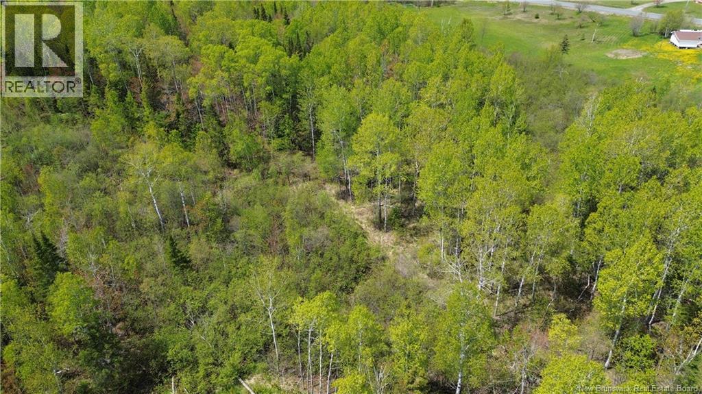 16 Sormany, Sormany, New Brunswick  E8K 3W9 - Photo 16 - NB140132