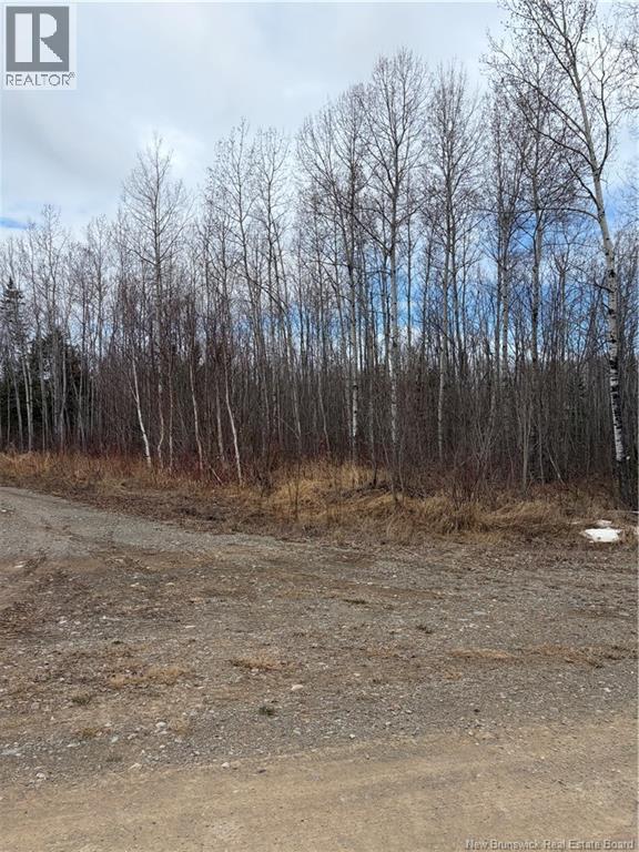 16 Sormany, Sormany, New Brunswick  E8K 3W9 - Photo 9 - NB140132