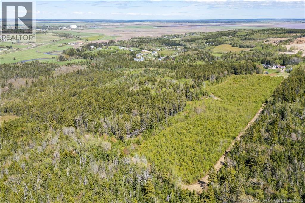 105 British Settlement Road, Westcock, New Brunswick  E4L 2E9 - Photo 12 - NB140060