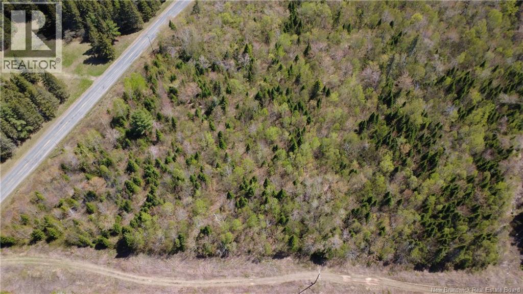 5,036 Mc Chemin St-Raymond, Sainte-Rose, New Brunswick E1X 1G5 - Photo 1 - NB140229
