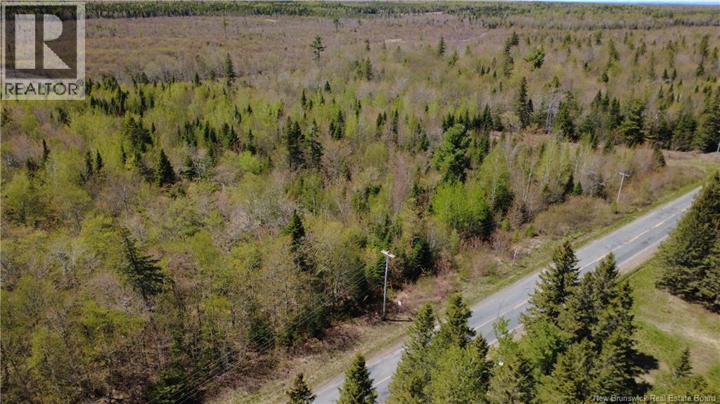 5,036 Mc Chemin St-Raymond, Sainte-Rose, New Brunswick E1X 1G5 - Photo 4 - NB140229