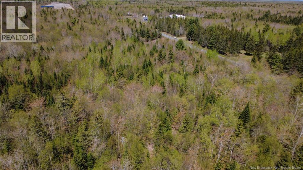 5,036 Mc Chemin St-Raymond, Sainte-Rose, New Brunswick E1X 1G5 - Photo 5 - NB140229