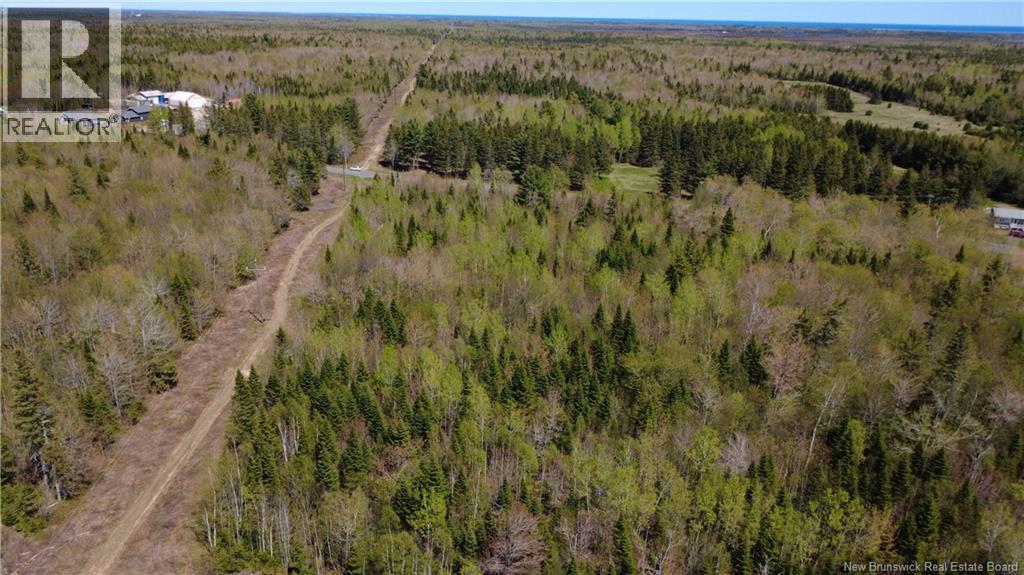 5,036 Mc Chemin St-Raymond, Sainte-Rose, New Brunswick E1X 1G5 - Photo 6 - NB140229