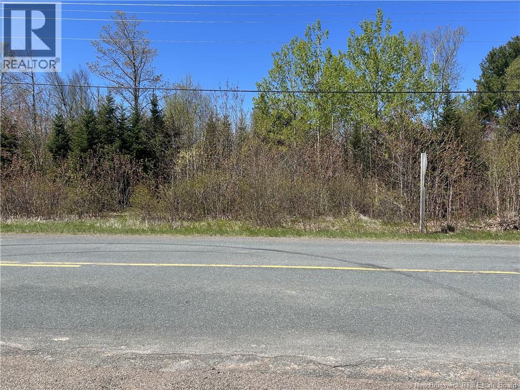 5,036 Mc Chemin St-Raymond, Sainte-Rose, New Brunswick E1X 1G5 - Photo 9 - NB140229