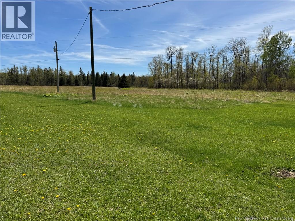 Lot Sd Rte 385, Nictau, New Brunswick  A0A 0A0 - Photo 18 - NB140158