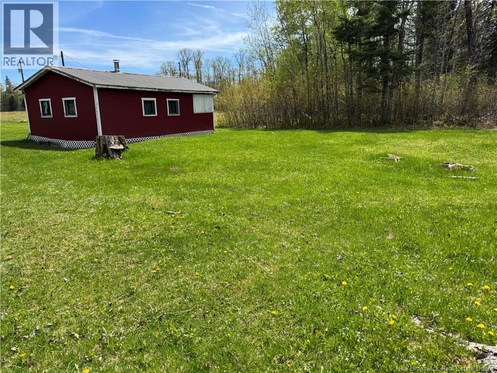Lot Sd Rte 385, Nictau, New Brunswick  A0A 0A0 - Photo 19 - NB140158