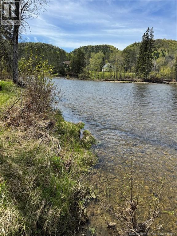 Lot Sd Rte 385, Nictau, New Brunswick  A0A 0A0 - Photo 5 - NB140158