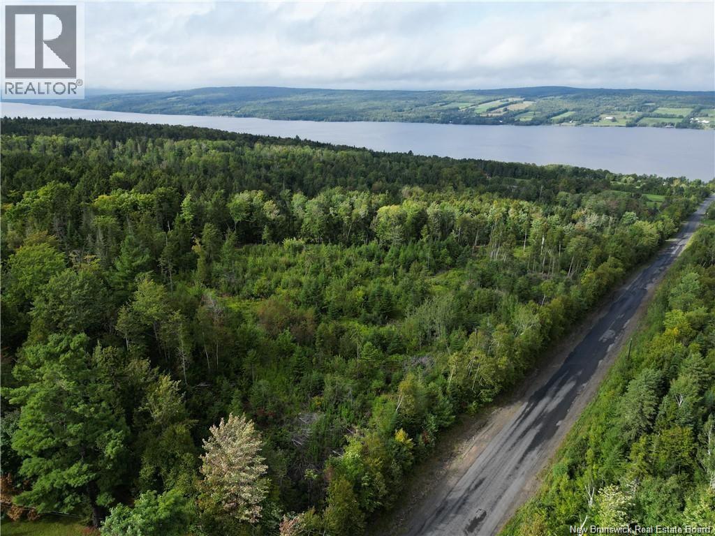 Lot Pokiok Settlement Road, Prince William, New Brunswick  E6K 3Z3 - Photo 4 - NB139026