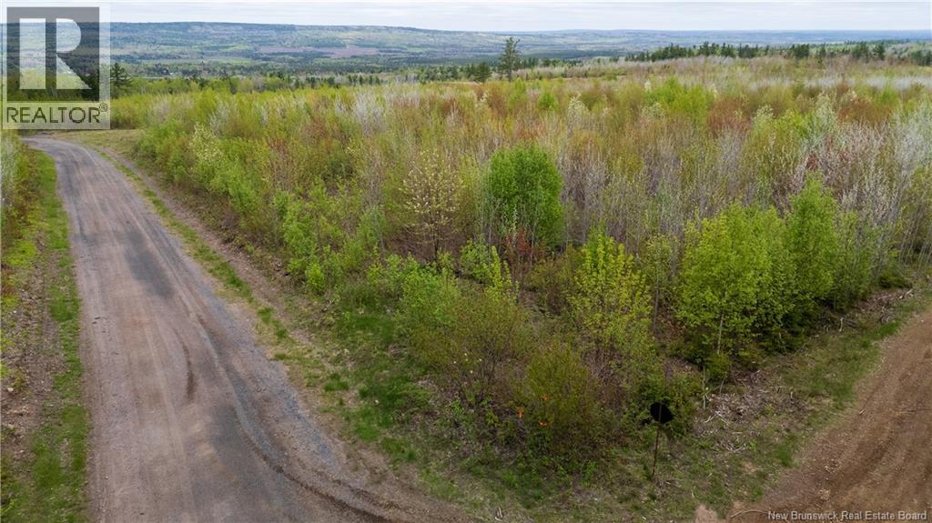 Lot 37 Davidson Road, Anagance, New Brunswick  E4Z 1E1 - Photo 10 - NB140083