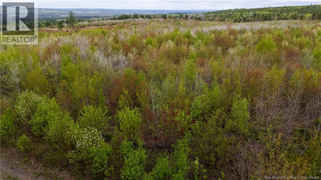Lot 37 Davidson Road, Anagance, New Brunswick  E4Z 1E1 - Photo 11 - NB140083