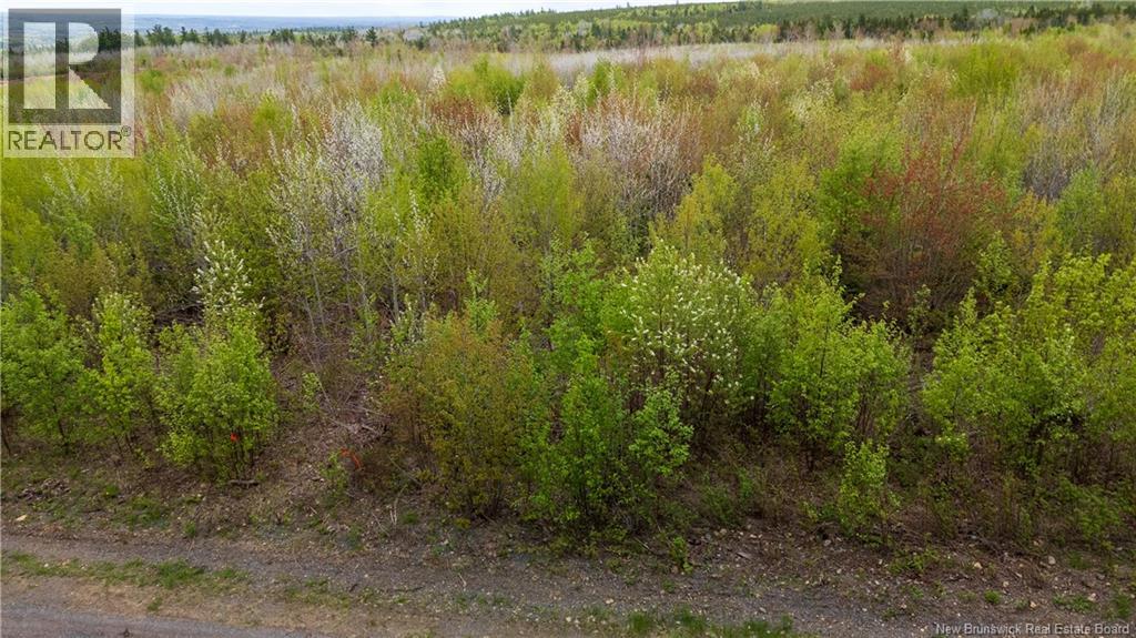 Lot 37 Davidson Road, Anagance, New Brunswick  E4Z 1E1 - Photo 12 - NB140083
