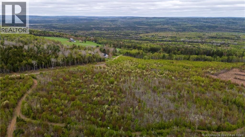 Lot 37 Davidson Road, Anagance, New Brunswick  E4Z 1E1 - Photo 6 - NB140083