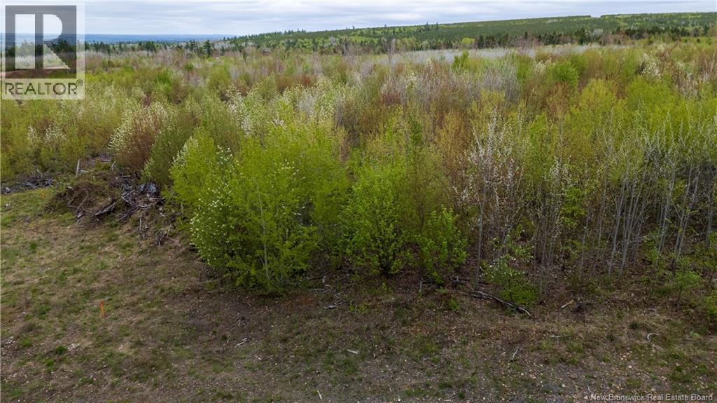 Lot 38 Davidson Road, Anagance, New Brunswick  E4Z 1E1 - Photo 13 - NB140082