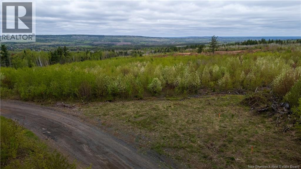 Lot 38 Davidson Road, Anagance, New Brunswick  E4Z 1E1 - Photo 14 - NB140082