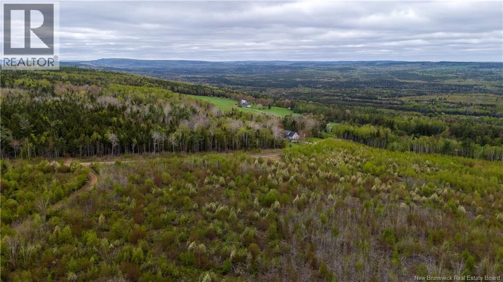 Lot 38 Davidson Road, Anagance, New Brunswick  E4Z 1E1 - Photo 16 - NB140082