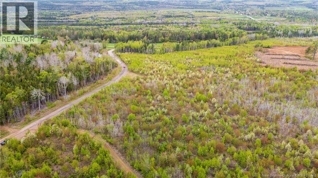Lot 38 Davidson Road, Anagance, New Brunswick  E4Z 1E1 - Photo 3 - NB140082