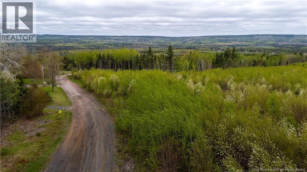 Lot 39 Davidson Road, Anagance, New Brunswick  E4Z 1E1 - Photo 15 - NB140081