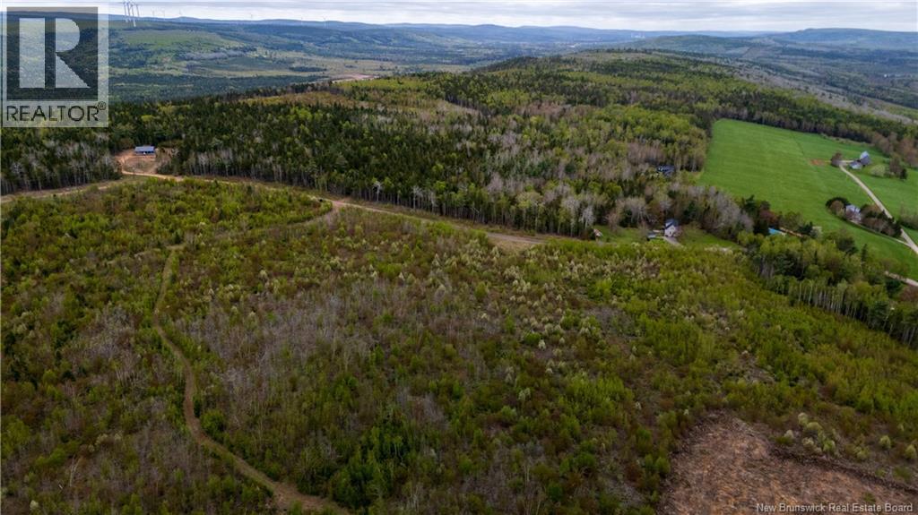 Lot 39 Davidson Road, Anagance, New Brunswick  E4Z 1E1 - Photo 5 - NB140081
