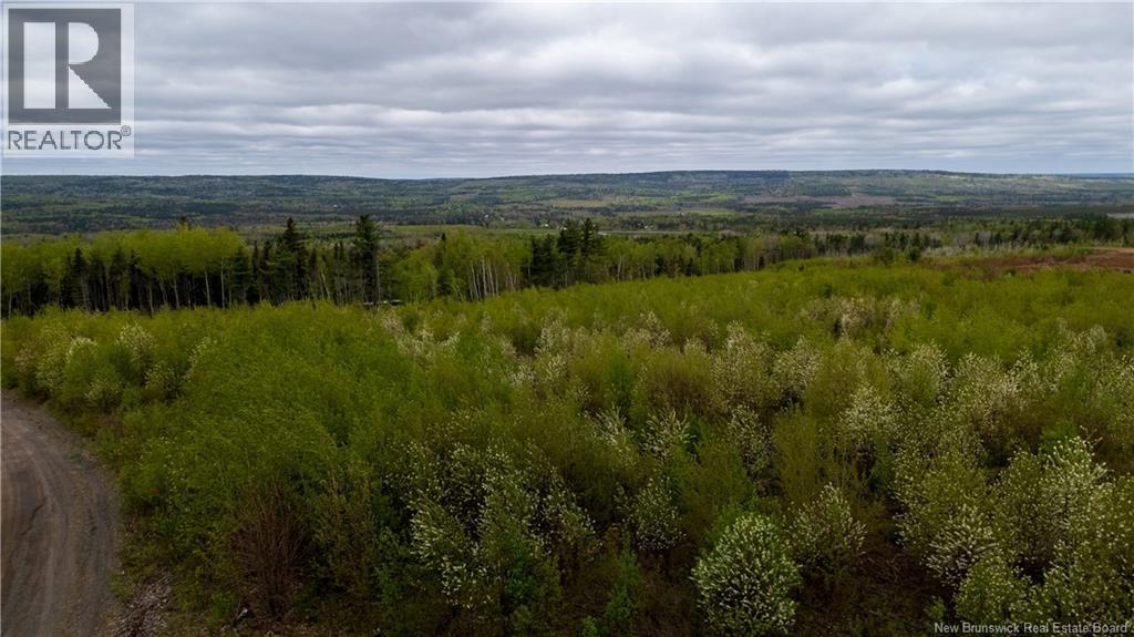 Lot 39 Davidson Road, Anagance, New Brunswick  E4Z 1E1 - Photo 9 - NB140081