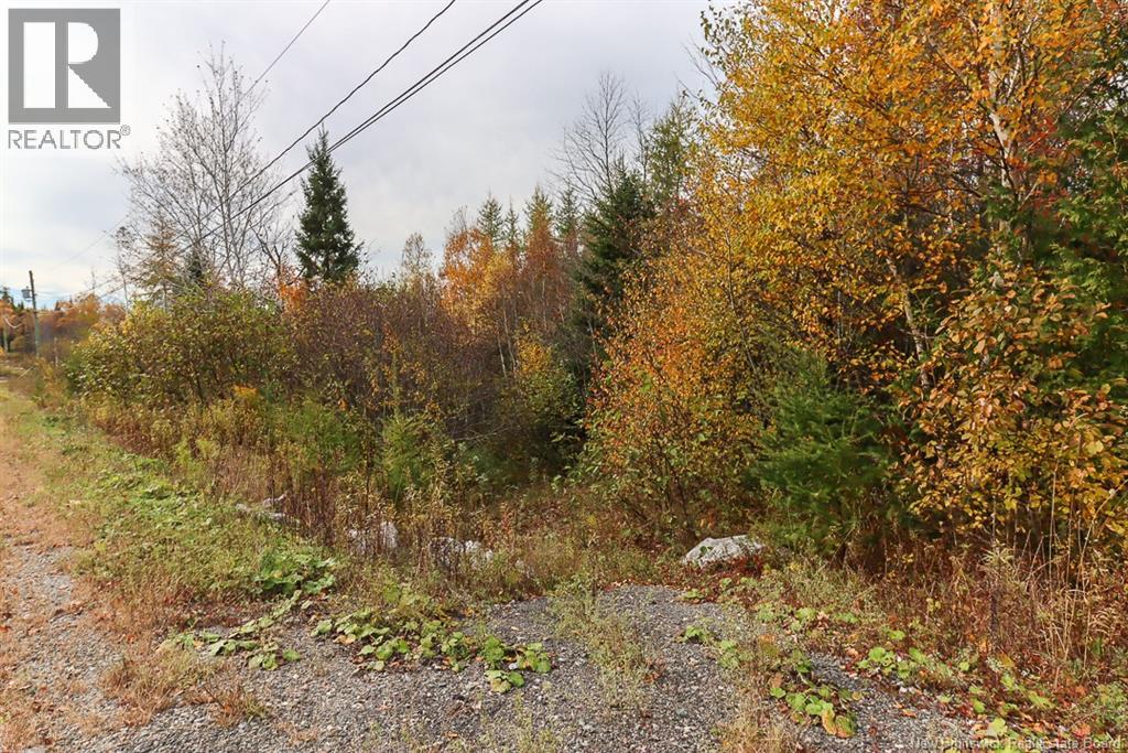 19 Bridgeford Drive, Quispamsis, New Brunswick  E2S 0C3 - Photo 22 - NB140391