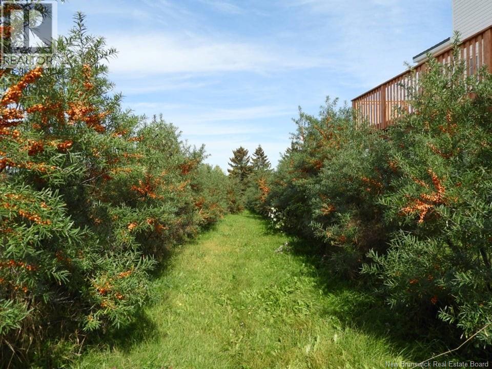 320 Red Bank Road, Chipman, New Brunswick  E4A 2B1 - Photo 12 - NB140384