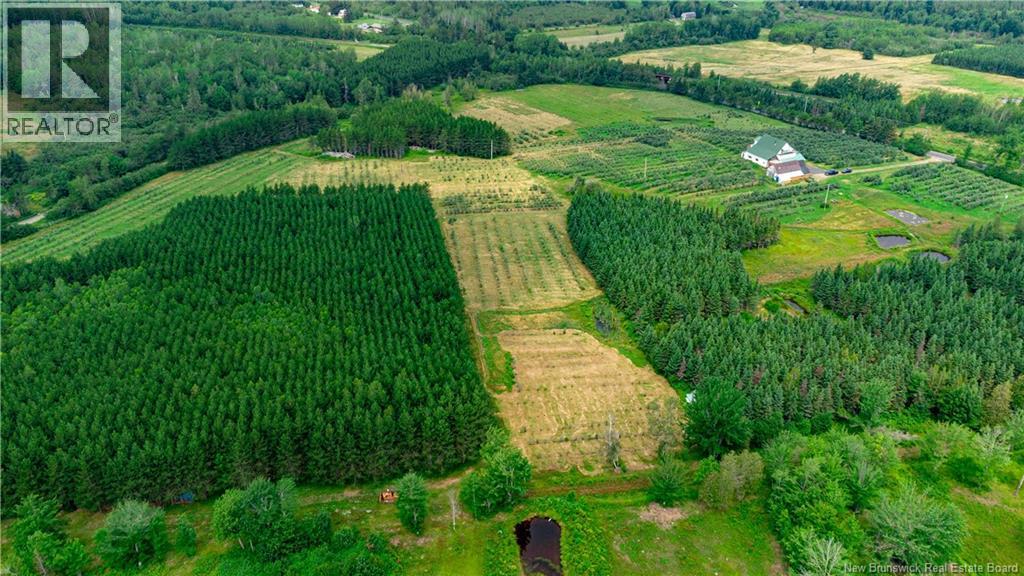 320 Red Bank Road, Chipman, New Brunswick  E4A 2B1 - Photo 4 - NB140383
