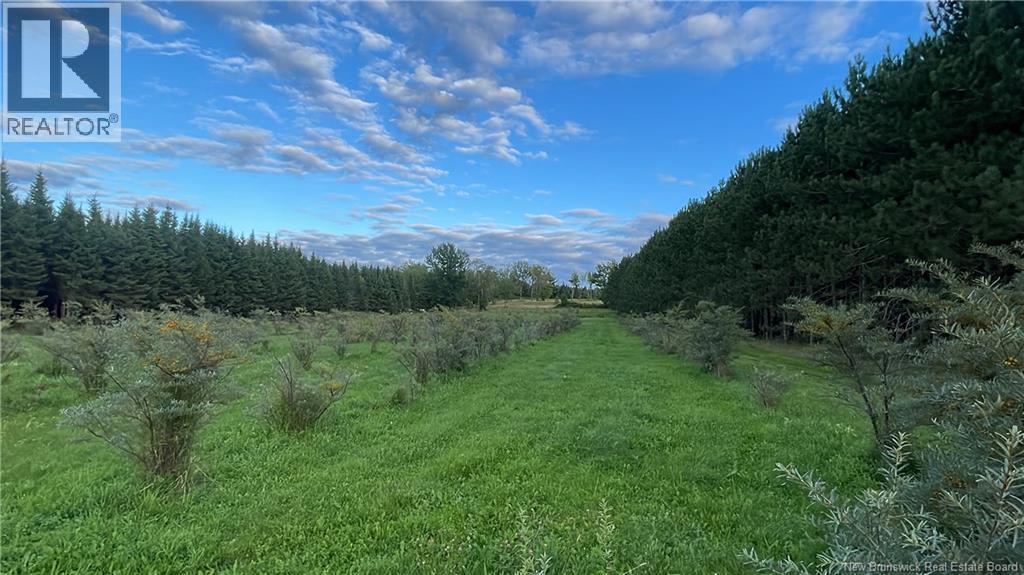 320 Red Bank Road, Chipman, New Brunswick  E4A 2B1 - Photo 48 - NB140383