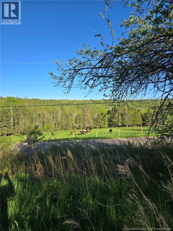 328 Drurys Cove Road, Drurys Cove, New Brunswick  E4E 3L6 - Photo 10 - NB139696