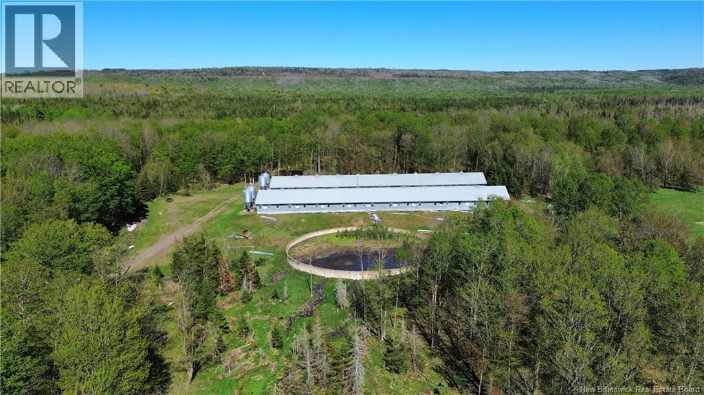 LOT 104 Route, Carlisle, New Brunswick