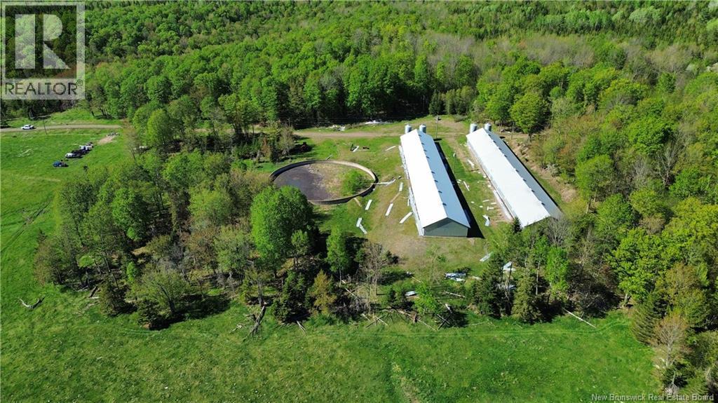 Lot 104 Route, Carlisle, New Brunswick  E7P 1W8 - Photo 2 - NB140421