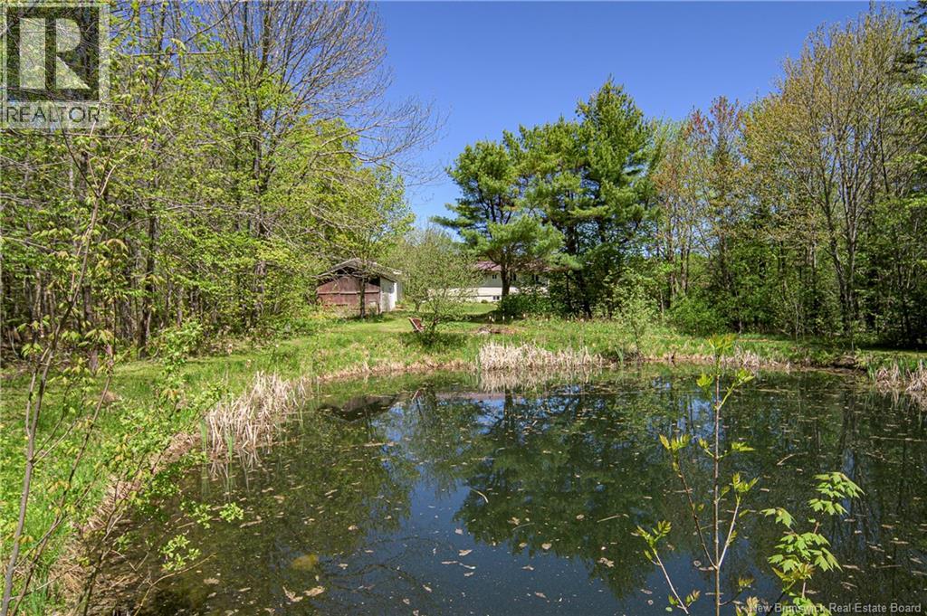 3055 Rte 104, Middle Hainesville, New Brunswick  E6E 1H9 - Photo 31 - NB140484