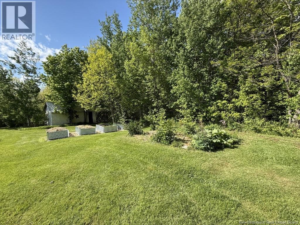 966 Route 710, Codys, New Brunswick  E4C 0A2 - Photo 39 - NB140437