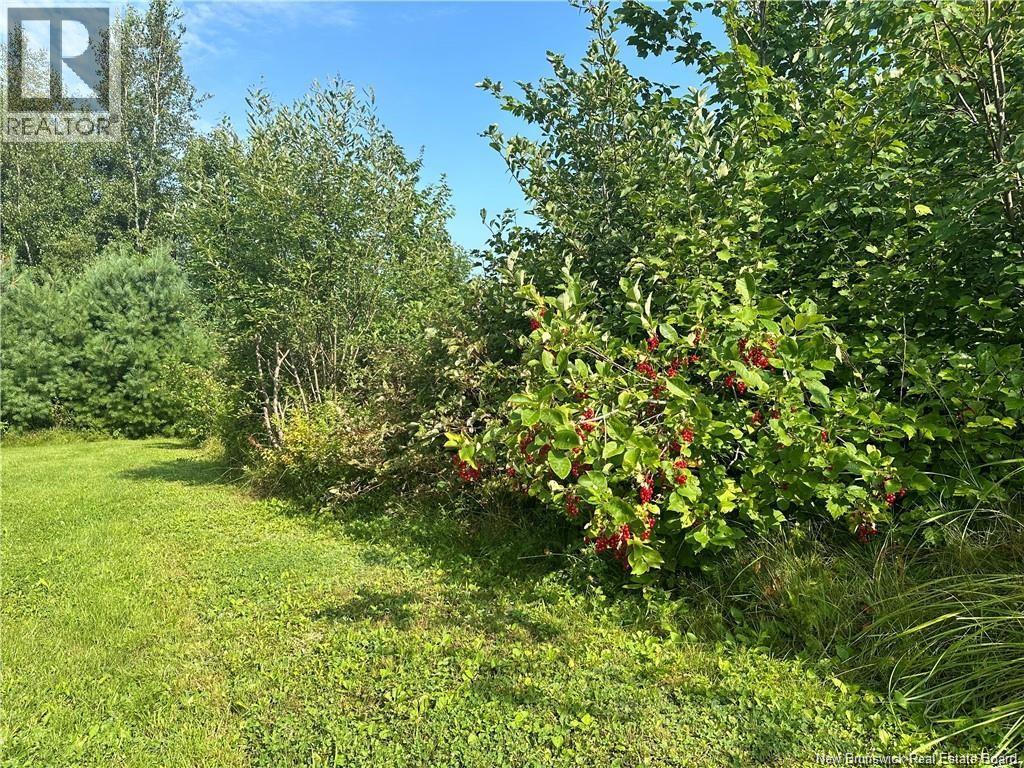 966 Route 710, Codys, New Brunswick  E4C 0A2 - Photo 41 - NB140437