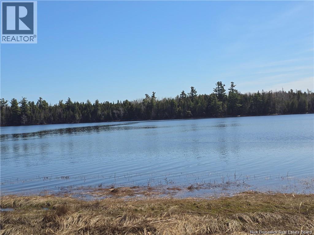 Acreage North Black River Road, Black River Bridge, New Brunswick  E1N 5T3 - Photo 1 - NB140558