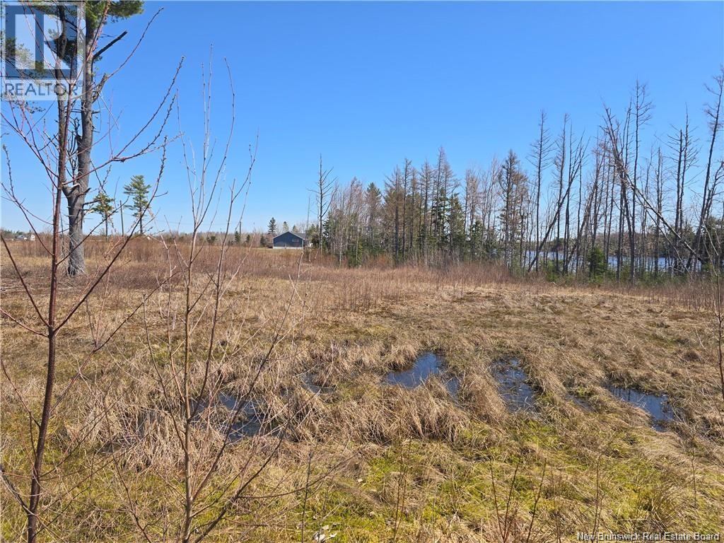 Acreage North Black River Road, Black River Bridge, New Brunswick  E1N 5T3 - Photo 24 - NB140558