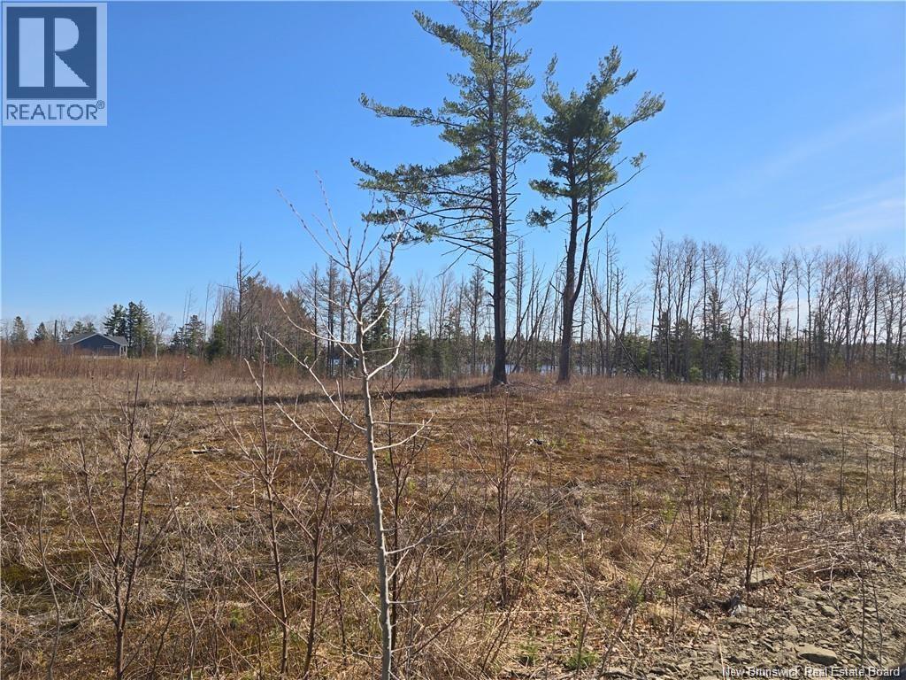Acreage North Black River Road, Black River Bridge, New Brunswick  E1N 5T3 - Photo 26 - NB140558