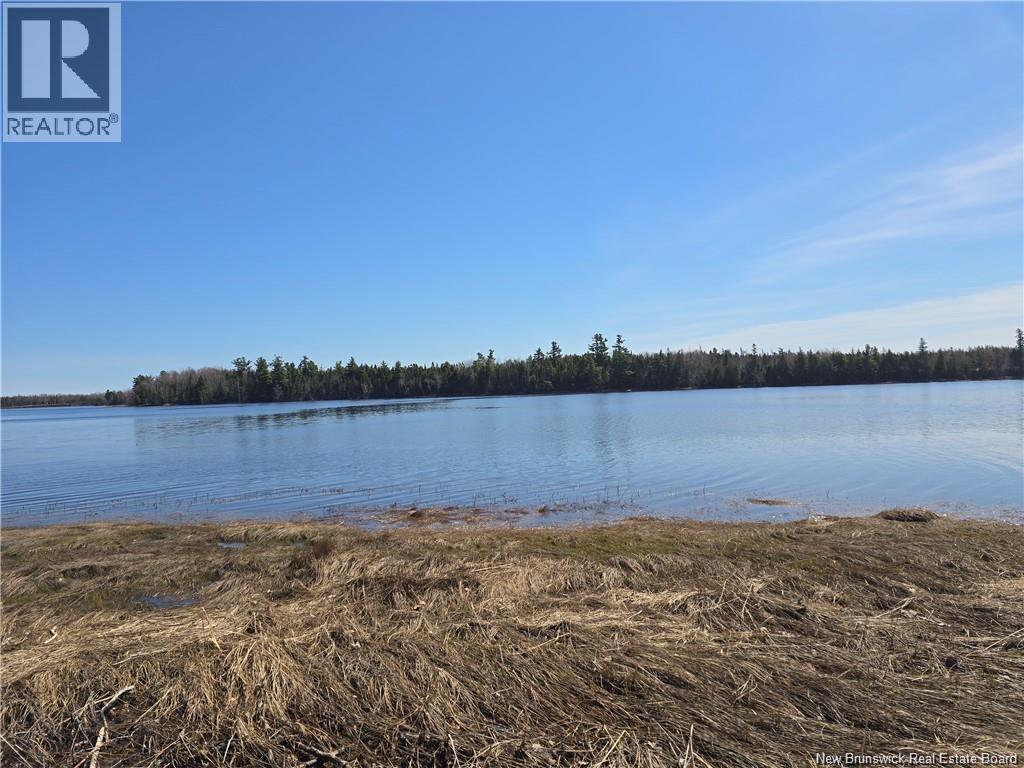Acreage North Black River Road, Black River Bridge, New Brunswick  E1N 5T3 - Photo 3 - NB140558