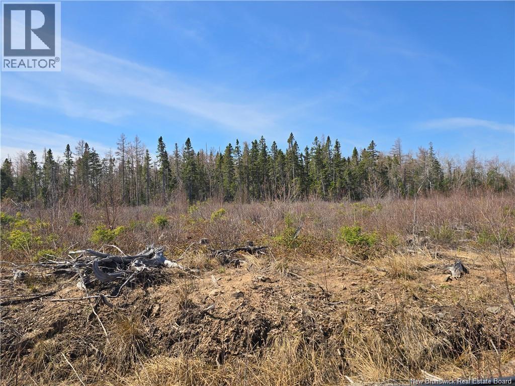 Acreage North Black River Road, Black River Bridge, New Brunswick  E1N 5T3 - Photo 30 - NB140558