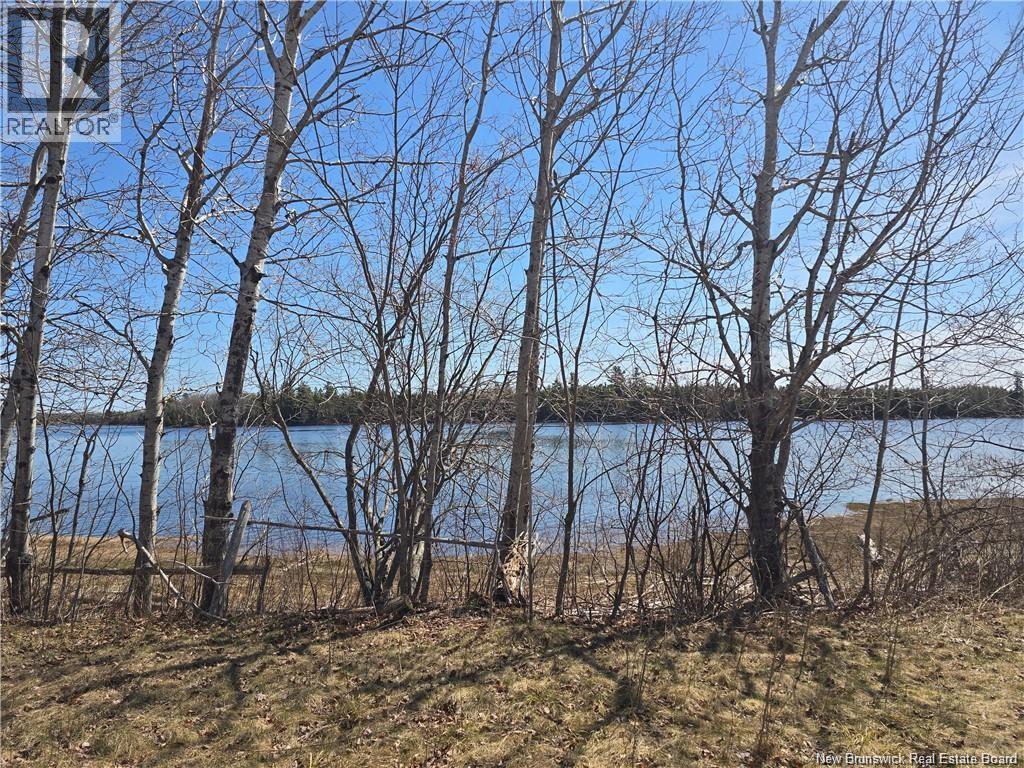 Acreage North Black River Road, Black River Bridge, New Brunswick  E1N 5T3 - Photo 6 - NB140558