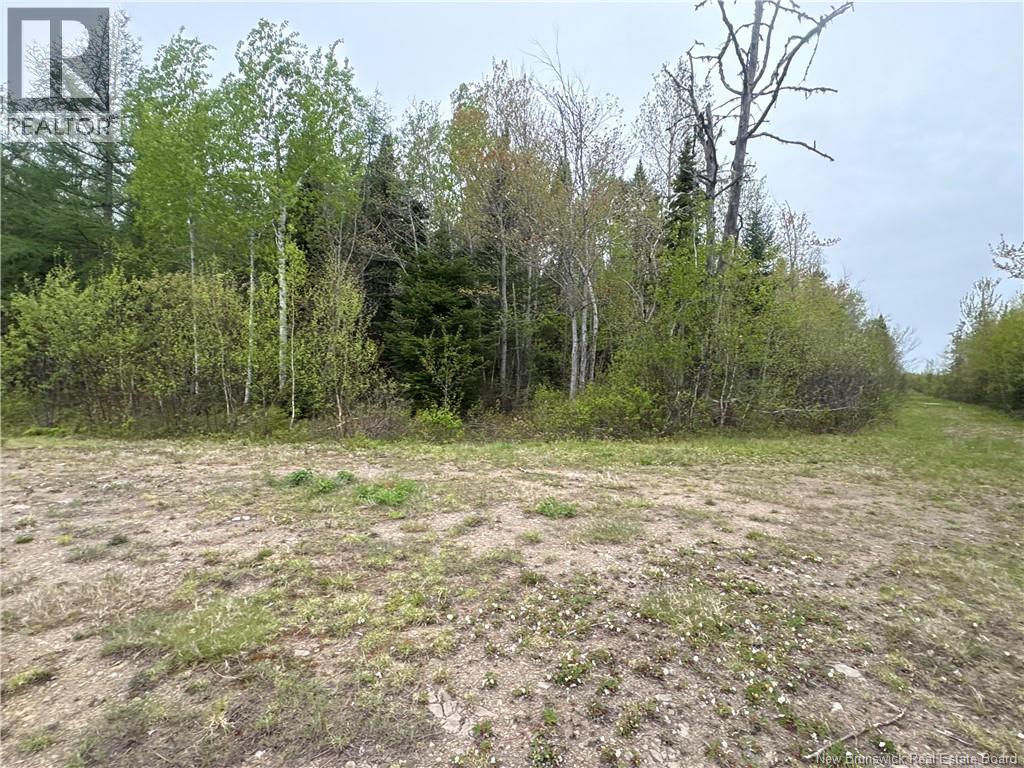 40.47 Hec Sapin Court, Rogersville, New Brunswick E4Y 1W5 - Photo 18 - NB140477